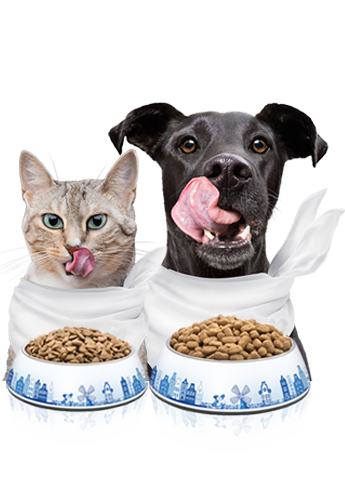 Hond en kat met tong uit de mond smullen van CaroCroc brokken in voerbak